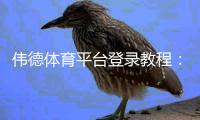 伟德体育平台登录教程：新手注册、手机PC登录与账户安全全攻略