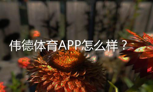 伟德体育APP怎么样？2026最新版功能、玩法与安全性全方位评测