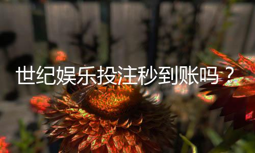 世纪娱乐投注秒到账吗？实测到账速度与平台可靠性解析