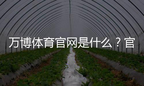 万博体育官网是什么?官方入口、注册登录与安全使用全攻略