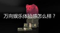 万向娱乐体验感怎么样？资深玩家分享真实评测与心得