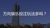 万向娱乐投注玩法多吗？深度解析平台特色与游戏选择