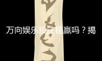 万向娱乐投注稳赢吗？揭秘高胜率背后的策略与风险