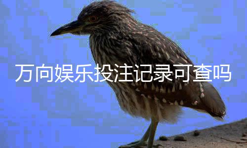 万向娱乐投注记录可查吗？一文详解查询方法与平台安全性