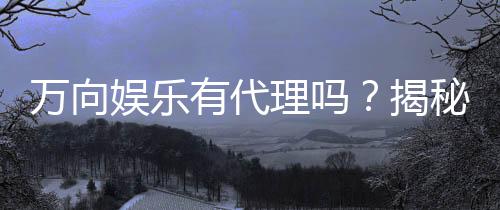 万向娱乐有代理吗？揭秘代理加盟条件与流程