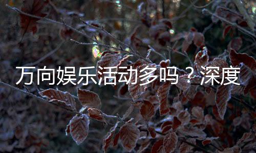 万向娱乐活动多吗？深度解析其丰富玩法与特色优惠