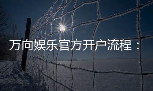 万向娱乐官方开户流程：3分钟快速注册及首存优惠详解