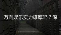 万向娱乐实力雄厚吗？深度解析其平台优势与玩家真实体验