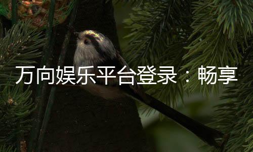 万向娱乐平台登录：畅享顶级游戏体验与安全登录指南