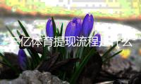 三亿体育提现流程是什么？新手必看详细步骤与注意事项
