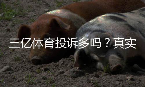 三亿体育投诉多吗?真实投诉案例、原因分析与维权攻略