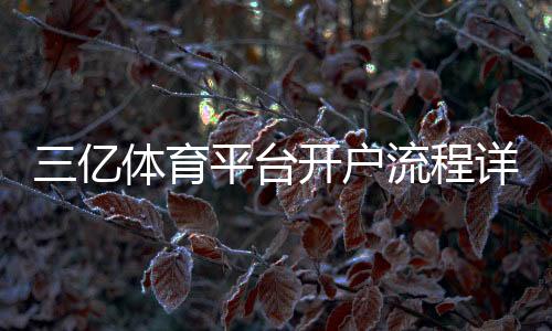三亿体育平台开户流程详解：新手注册、实名认证与常见问题解答