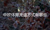 中欧体育充值方式有哪些？支持渠道、充值步骤与安全注意事项全解析