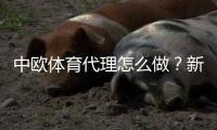中欧体育代理怎么做？新手必看：注册流程、佣金规则与推广赚钱全攻略