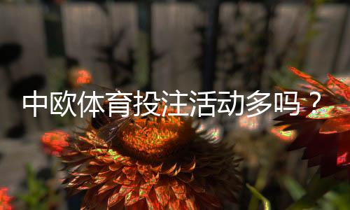 中欧体育投注活动多吗？优惠种类、发放频率与新手领取攻略