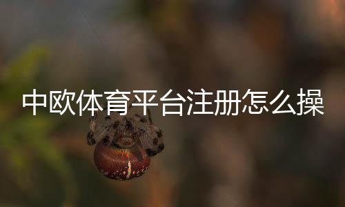 中欧体育平台注册怎么操作？快速注册流程、实名认证与常见问题详解