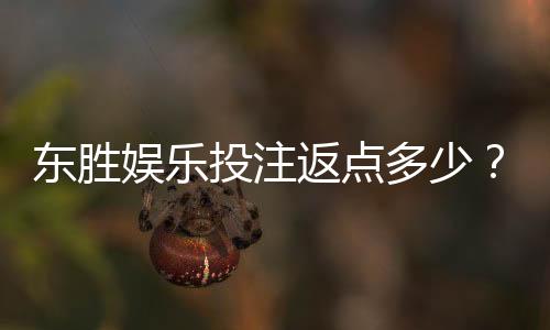 东胜娱乐投注返点多少？揭秘高返水福利与实战技巧
