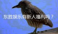 东胜娱乐有新人福利吗？独家揭秘首存优惠与新手礼包详情