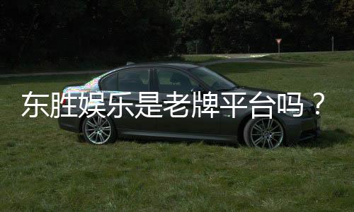 东胜娱乐是老牌平台吗?资深玩家揭秘其历史与信誉
