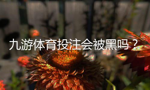 九游体育投注会被黑吗?真相揭秘与用户防护全攻略