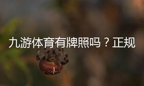 九游体育有牌照吗？正规资质、合法性与安全性全面解析