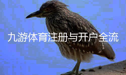 九游体育注册与开户全流程：新手图文教程+常见问题与注意事项
