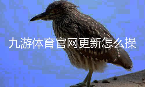 九游体育官网更新怎么操作？最新版本功能、安装教程与常见问题快速解决