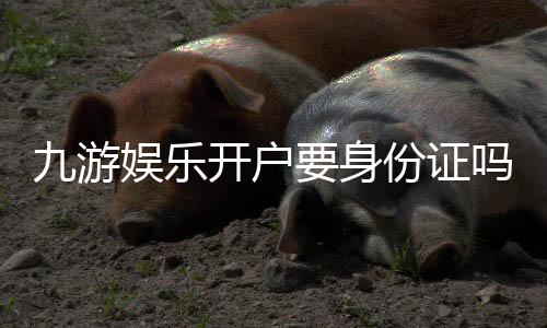 九游娱乐开户要身份证吗？实名认证流程、注意事项与快速通过攻略
