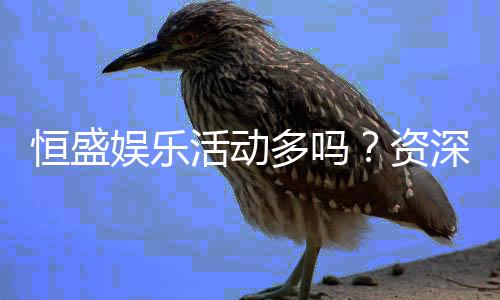 恒盛娱乐活动多吗？资深玩家揭秘其丰富福利与特色玩法