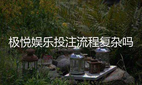 极悦娱乐投注流程复杂吗？3分钟带你快速掌握全步骤