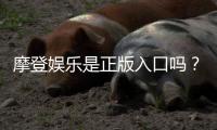 摩登娱乐是正版入口吗？揭秘平台资质与安全玩法指南