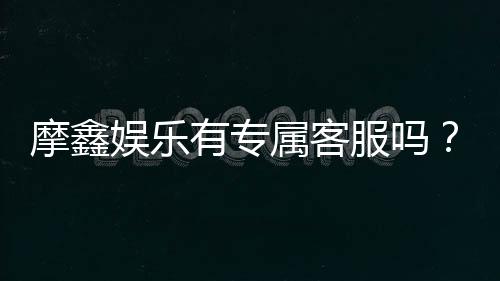 摩鑫娱乐有专属客服吗？平台客服体验深度解析