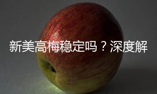 新美高梅稳定吗?深度解析平台安全性与玩家体验