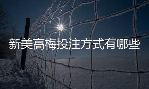 新美高梅投注方式有哪些？详解主流玩法与技巧攻略