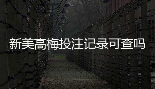 新美高梅投注记录可查吗？一文详解查询方法与注意事项