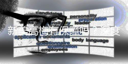 新美高梅有保障吗？深度解析平台安全性与玩家真实体验