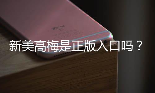 新美高梅是正版入口吗？资深玩家揭秘平台真伪与安全玩法
