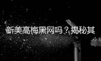 新美高梅黑网吗？揭秘其真伪与玩家安全指南