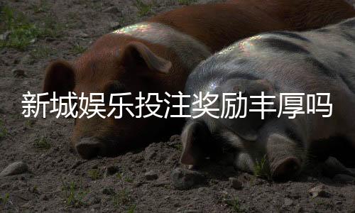 新城娱乐投注奖励丰厚吗？揭秘高额返利与独家优惠活动
