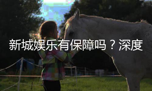 新城娱乐有保障吗?深度解析其安全性与玩家真实体验