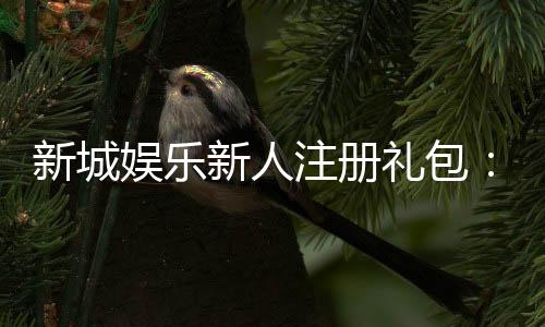 新城娱乐新人注册礼包：首存即送888元彩金畅享豪华游戏礼遇