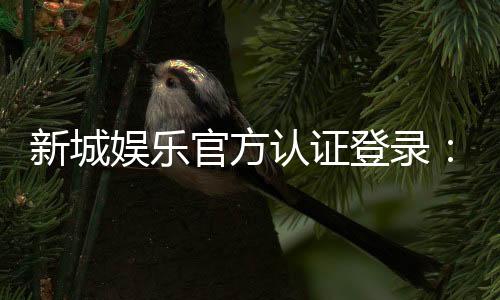 新城娱乐官方认证登录：安全便捷的一站式游戏平台指南