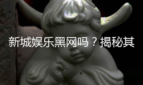 新城娱乐黑网吗？揭秘其真伪与玩家安全攻略