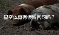 星空体育有假冒官网吗？一文教你识别真伪、查询官方渠道与防骗技巧