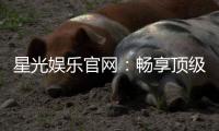 星光娱乐官网：畅享顶级棋牌电游的豪华盛宴