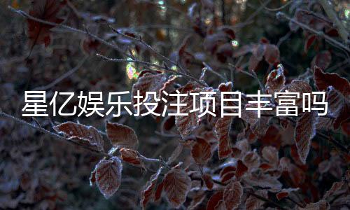 星亿娱乐投注项目丰富吗？深度解析其多元游戏与特色玩法