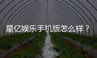 星亿娱乐手机版怎么样？资深玩家带你揭秘真实体验与赢钱技巧