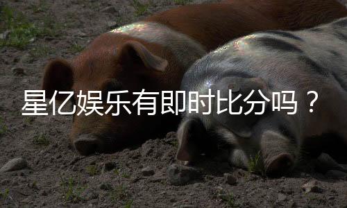 星亿娱乐有即时比分吗？全面解析比分查询与赛事动态