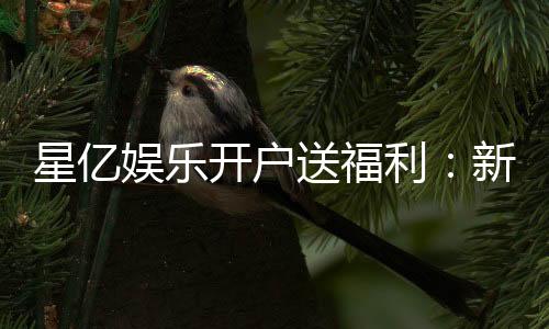 星亿娱乐开户送福利:新手注册即享多重豪礼轻松开启财富之旅