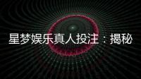 星梦娱乐真人投注：揭秘高胜率玩家的实战技巧与策略